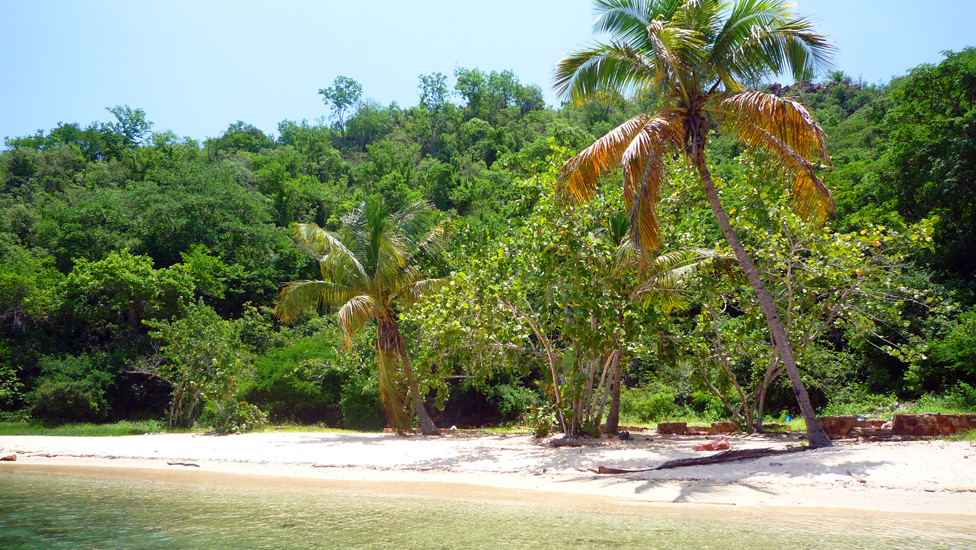 Isla Arapo 020